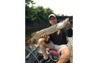 wildlife on Lake County, Indiana farmland - LAND AUCTION - 147+/- ACRES OFFERED IN 3 TRACTS IN LAKE COUNTY, INDIANA